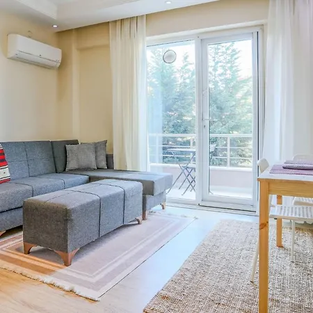 Comfortable Flat With Central Location In * Sapanca